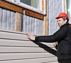 Best Custom Trim and Detailing for Siding  in Mayo, MD